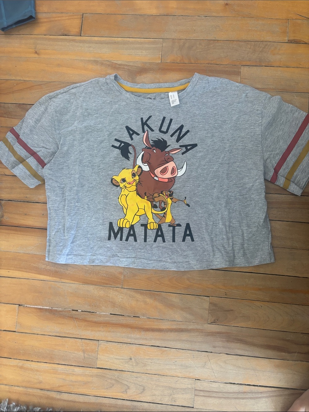 Disney Hakuna Matata Gray Tee with Yellow Simba & Brown Pumbaa Graphic